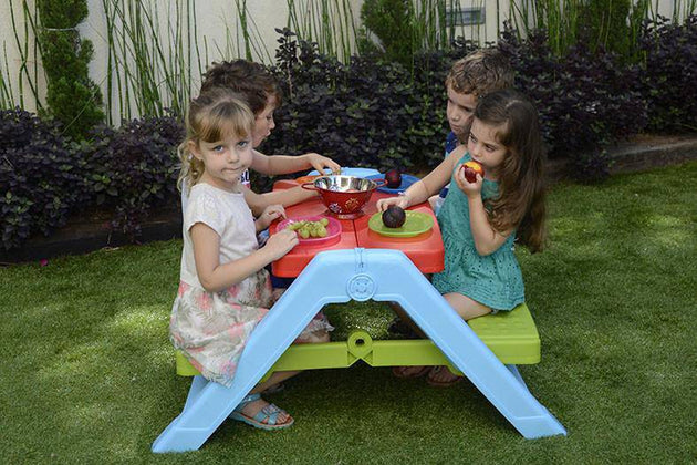 PalPlay Foldable Picnic Table - NSG Products